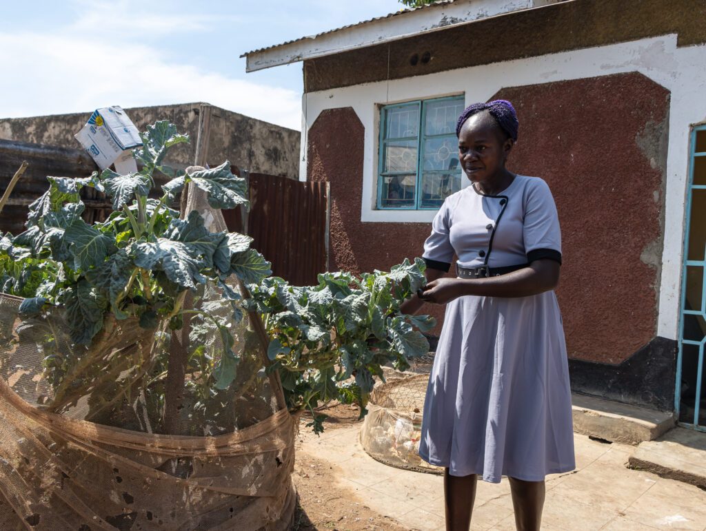 A woman tends a climate-smart kitchen garden