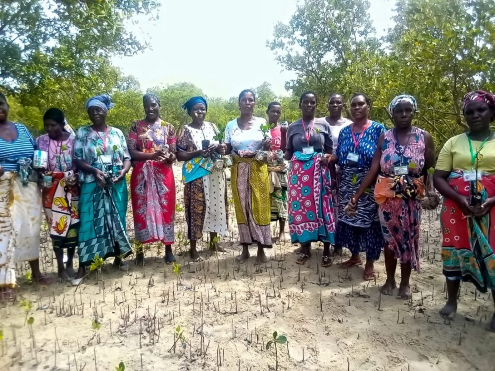 Women planting mangrove seedlings in Kilifi on World Environment Day